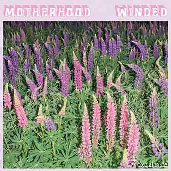 Fredericton Avant-Punk Trio Motherhood Announce New Album 'Winded' - Exclaim!
