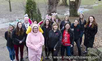 Back on the trail: Grimsby Easter egg hunt set to return - Niagara This Week