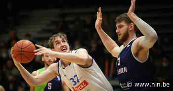 Kangoeroes Mechelen blijft ongeslagen in Elite Gold na winst tegen Groningen. - Het Laatste Nieuws