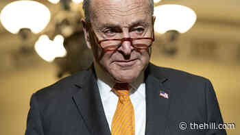 Senate finalizing $10 billion deal on coronavirus aid - The Hill