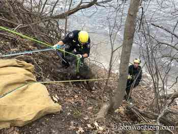 Called in to rescue young dog-walker, firefighters use ropes to save 100-pound dog