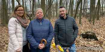 Marl: gate.ruhr kommt - Anwohner der Zollvereinsiedlung fordern Lärmschutz - Marler Zeitung