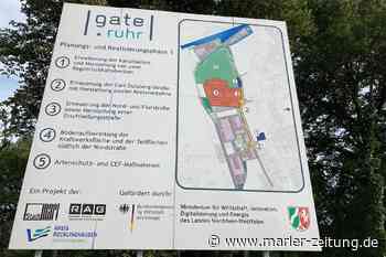 Marl: Radverkehr wird mit 900.000-Euro-Finanzspritze angekurbelt - Marler Zeitung