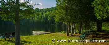 Un autre été de glamping en nature pour l'hôtel UNIQ