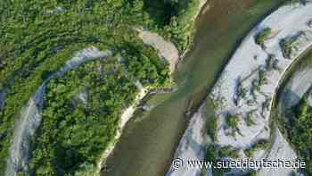 Geretsried: Flächenbrand in den Isarauen - Bad Tölz-Wolfratshausen - SZ.de - Süddeutsche Zeitung - SZ.de