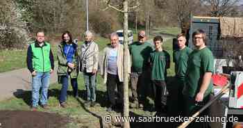 Bürgerinitiative Neunkirchen-Stadtmitte pflanzt Bäume - Saarbrücker Zeitung