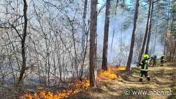 Waldbrandgefahr - Waldbrandverordnung in Neunkirchen: Es drohen harte Strafe - NÖN.at