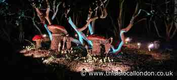 Fire and Fantasy at Nymans - Kathryn T, Townley Grammar
