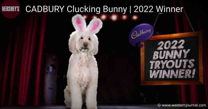 Meet This Year's 'Cadbury Bunny' Winner, a Therapy Dog from Ohio named Annie Rose