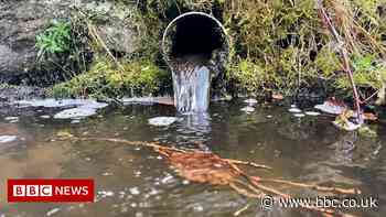 Sewage: Urgent plan to stop discharges into rivers and sea