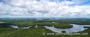 Les terres des premières nations, cruciales pour les objectifs climatiques au Brésil, Mexique, Pérou et Colombie