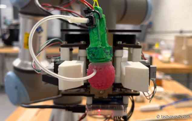 Behold the robo-berry