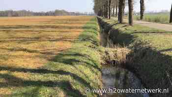 WDODelta controleert uitgebreid geel gekleurde akkers - H2O Waternetwerk