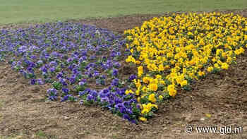 Geel-blauwe 'hart' voor Oekraïne in Duiven is af - Omroep Gelderland
