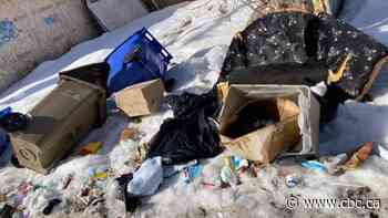 Garbage-strewn areas 'lowest priority' as council pushes back motion, Regina resident says