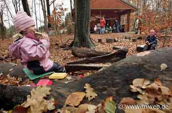Gibt es bald einen Waldkindergarten in Osterburken? - Region Neckar-Odenwald - Fränkische Nachrichten