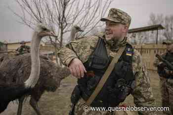 Heavy fighting rages near Kyiv as Russia appears to regroup - Quesnel - Cariboo Observer