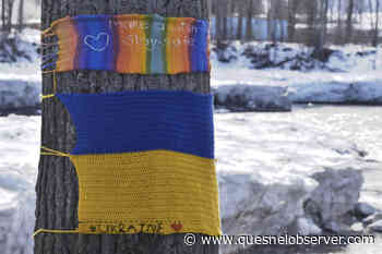 Rotary Club of Quesnel selling seeds to grow sunflowers supporting Ukraine - Quesnel - Cariboo Observer