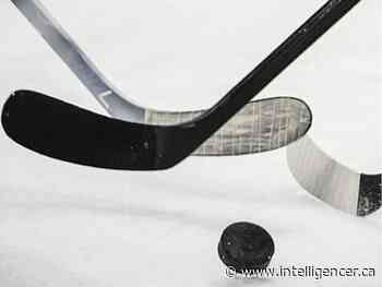 Regina Pat Canadians and Notre Dame Hounds tied 1-1 - Belleville Intelligencer