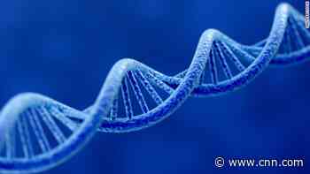 Scientists make history by sequencing complete human genome for first time