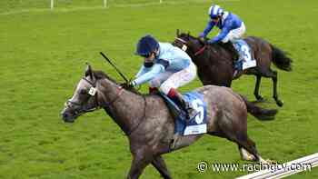 Harrow primed for Blue Trail rematch in £100,000 Chelmsford feature - Racing TV