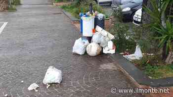 BACOLI/ "Abbandono di rifiuti sul suolo pubblico deturpa il decoro": la segnalazione di Flegrea Lavoro - Il Monte - Il Monte
