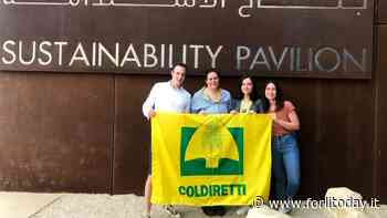 Viaggio studio per i giovani di Coldiretti: da Bertinoro e Corniolo a Dubai per un'esperienza unica - ForlìToday