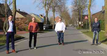 Rechter verbiedt (voorlopig) het rooien van bomen Nieuwstraat - Het Laatste Nieuws