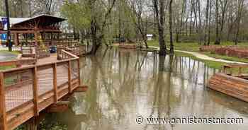 Talladega and St. Clair see minimal damage from Wednesday storms and wildfires - The Anniston Star