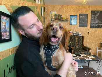 Près de Nancy. Commercial pendant 15 ans, Thibault est devenu… dog sitter professionnel - actu.fr