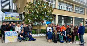 Fleurig versierde boom op Kristus Koning roept op tot vrede in Oekraïne - Het Laatste Nieuws