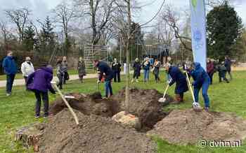 Jubilerende Soroptimisten planten boom in het Rensenpark - Dagblad van het Noorden