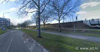 Tim (27) reed met geleende cabrio in Lelystad tegen een boom: 'Mijn collega's nemen mij niks kwalijk' - AD.nl