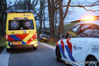 Automobiliste botst op boom langs Bosweg - WâldNet