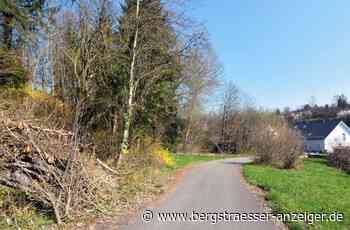 Kritik an Kirschhäuser Bauprojekten reißt nicht ab - Heppenheim - Nachrichten und Informationen - Bergsträßer Anzeiger