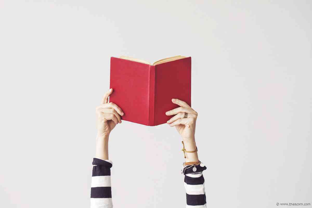 Boxy book картинки