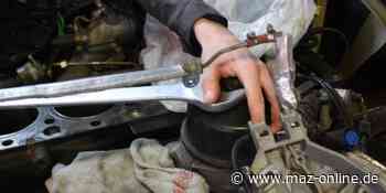 Teltow, Kleinmachnow, Stahnsdorf: Regionaler Azubitag für Betriebe und Schüler - Märkische Allgemeine Zeitung