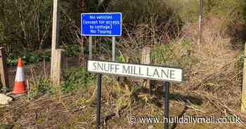 Solar farm sites being explored on the edge of Cottingham - Hull Live