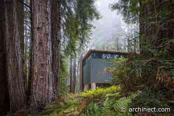 Miller Hull's redwood laboratory for UC Santa Cruz aims to be light on the land - Archinect