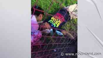 Man Wants Justice After Getting Mauled by Dogs in North Miami Beach