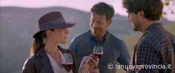 Brachetto d’Acqui Docg, un 2022 che parte frizzante - La Nuova Provincia - Asti