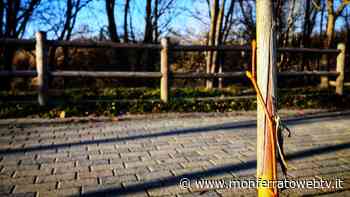 Acqui Terme - Sono 700 le piante messe a dimora in diverse aree della città - Monferrato Web TV