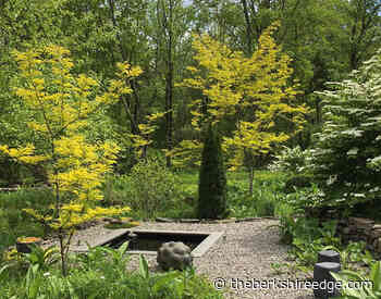 THE SELF-TAUGHT GARDENER: Federal Twist - theberkshireedge.com