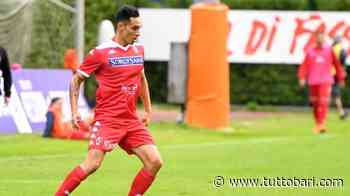 Bari, ricordi Bolzoni? Come sta andando la sua avventura all'estero - BARI CALCIO