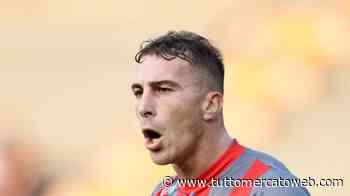 Bari, festa promozione rimandata. Terranova: "Il pubblico meritava un'altra gioia" - TUTTO mercato WEB