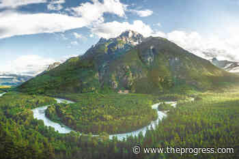 Chilcotin photographer's Great Bear Rainforest images featured in National Geographic – Chilliwack Progress - Chilliwack Progress