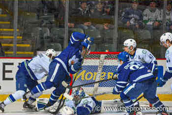 Abbotsford Canucks earn one of four possible points against Toronto – Chilliwack Progress - Chilliwack Progress