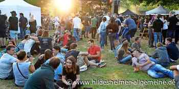 Ära endet: Kein Teichrock-Festival mehr im Kreis Hildesheim - www.hildesheimer-allgemeine.de