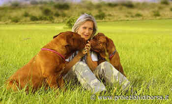 Ecco svelato perché il cane mangia l’erba, ma attenzione se vomita in questo modo perché ci dovremmo ... - Proiezioni di Borsa