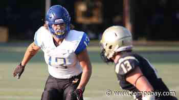 Jefferson High alum Gage Wilcox’s Florida Gators career is likely over - Tampa Bay Times